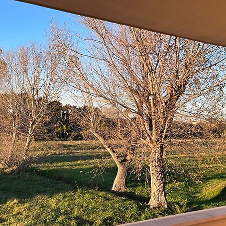 Lizzies Hus Daire Fiumicino Dış mekan fotoğraf