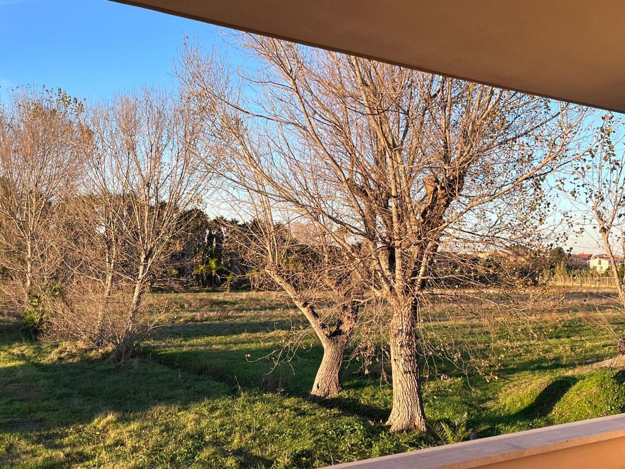 Lizzies Hus Daire Fiumicino Dış mekan fotoğraf
